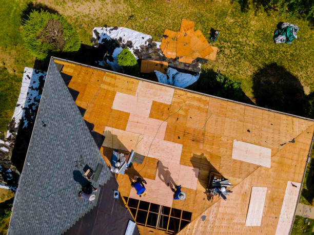Professional Roofing Contractor in Woodland Park, NE