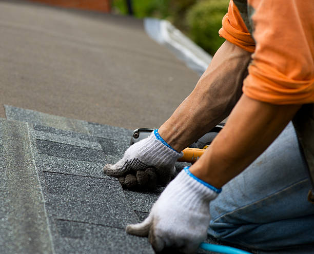 Best Roof Leak Repair  in Woodland Park, NE