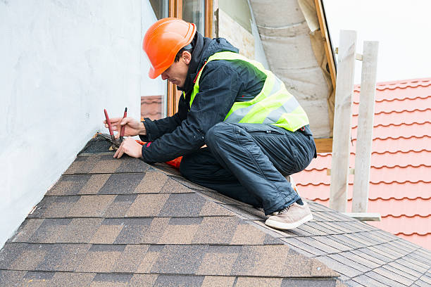 Best Roof Maintenance Services  in Woodland Park, NE
