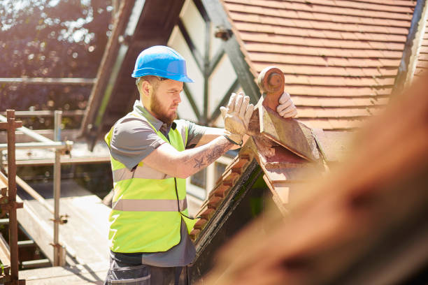 Best Roof Gutter Cleaning  in Woodland Park, NE