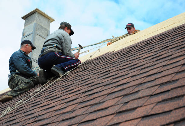 Best Commercial Roofing Services  in Woodland Park, NE