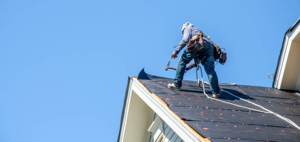 Best Roof Replacement Cost  in Woodland Park, NE